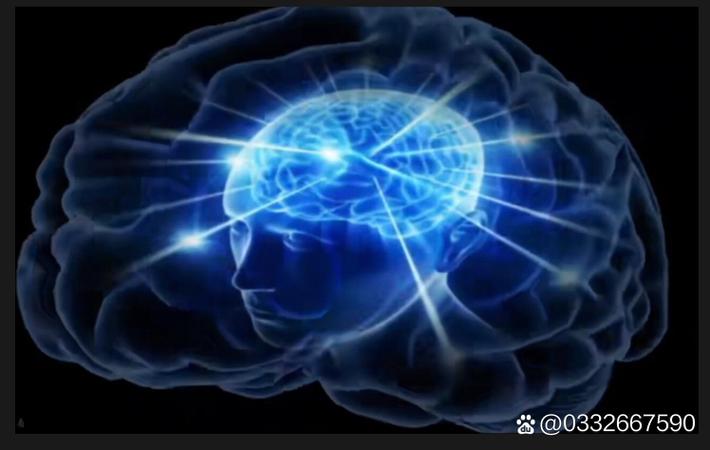 顶级流量小生被曝学历造假，名校文凭竟是花钱买来的？